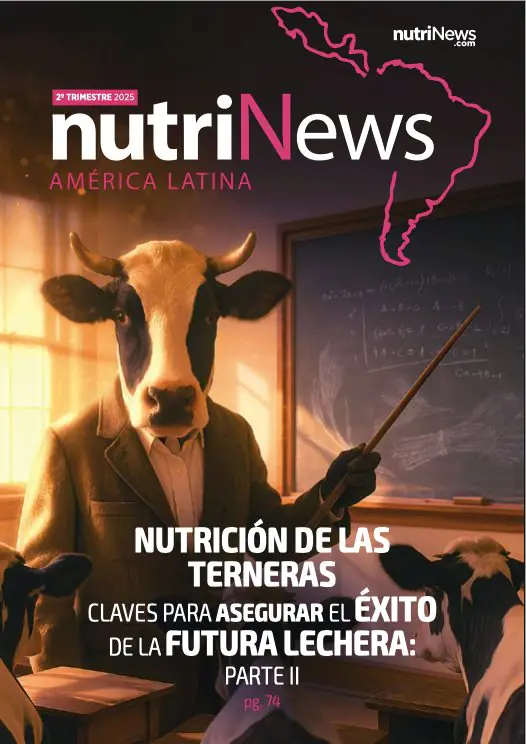 Latam 2º trimestre 2025