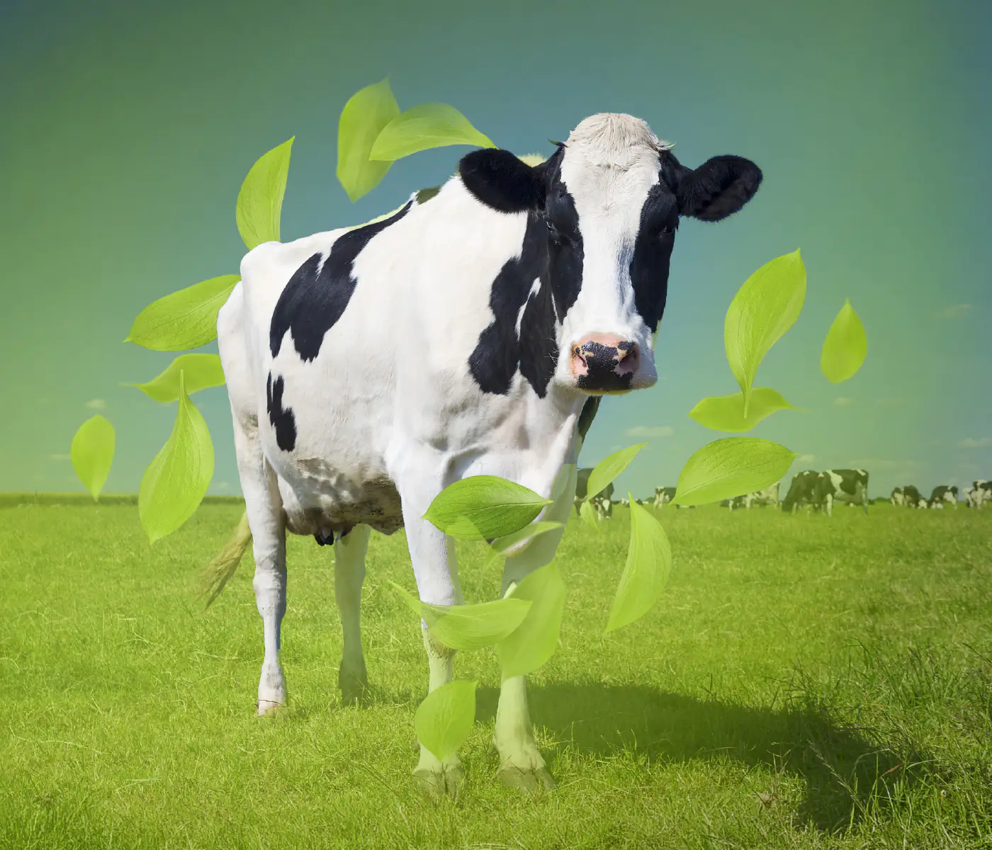 Eficiência Invisível: Como Blends Bioativos Funcionais Transformam a Saúde