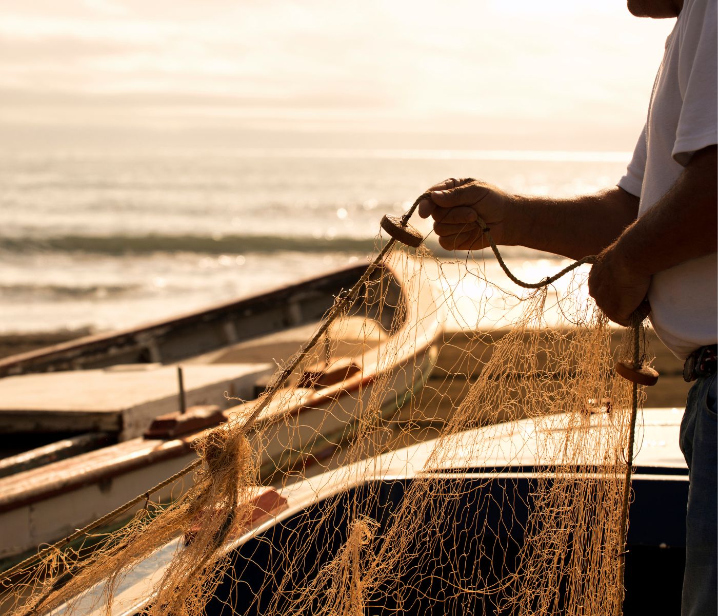 Projeto Valoriza Pesca reúne pesquisas e lança plataforma de pesca artesanal
