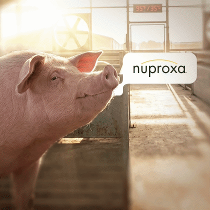 http://NUPROXA
