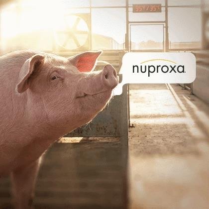 http://NUPROXA