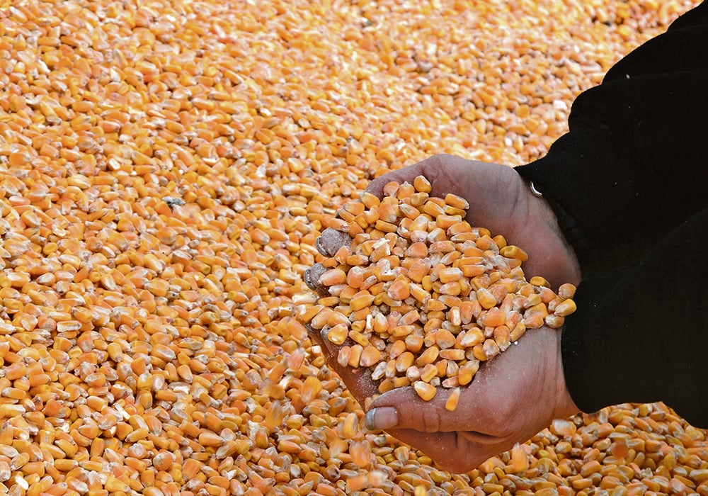 Indonesia’s Red and White Village Cooperatives to act as off-takers of grains
