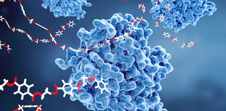 Precision nutrition keeps poultry enzyme market on a strong growth trajectory