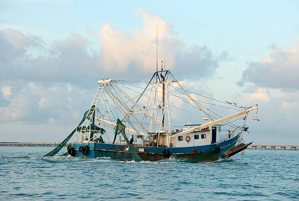 Artigo: Inovação e Precisão na Nutrição de Peixes e Camarões