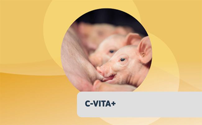 C-VITA +