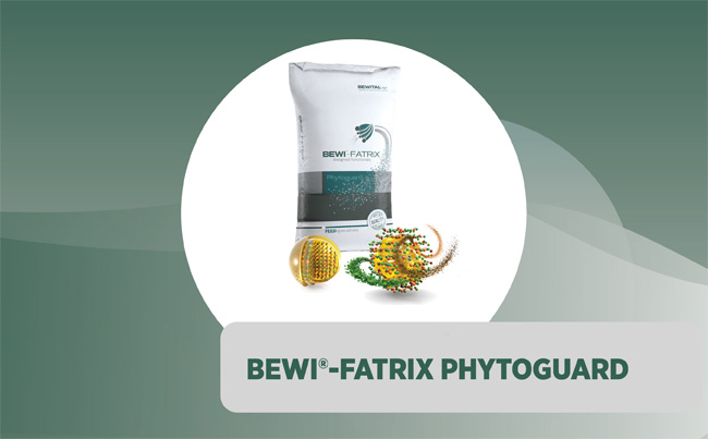 BEWI<sup>®</sup>-FATRIX Phytoguard