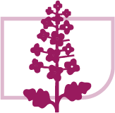 Cascarilla de soja