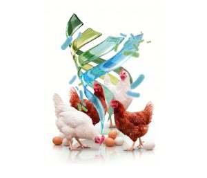 Alterion® NE Celebrates 10 Years of Poultry Gut Health Innovation