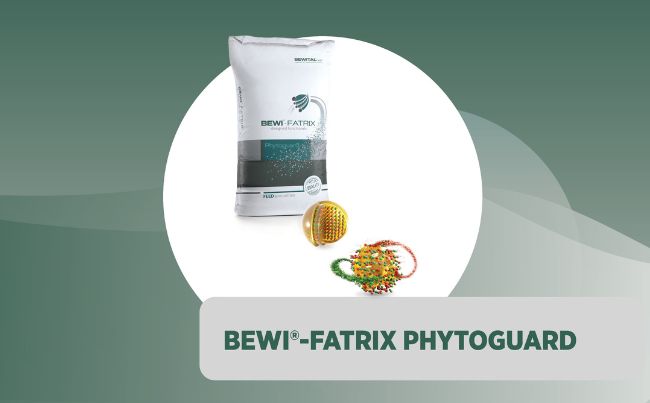 BEWI<sup>®</sup>-FATRIX Phytoguard