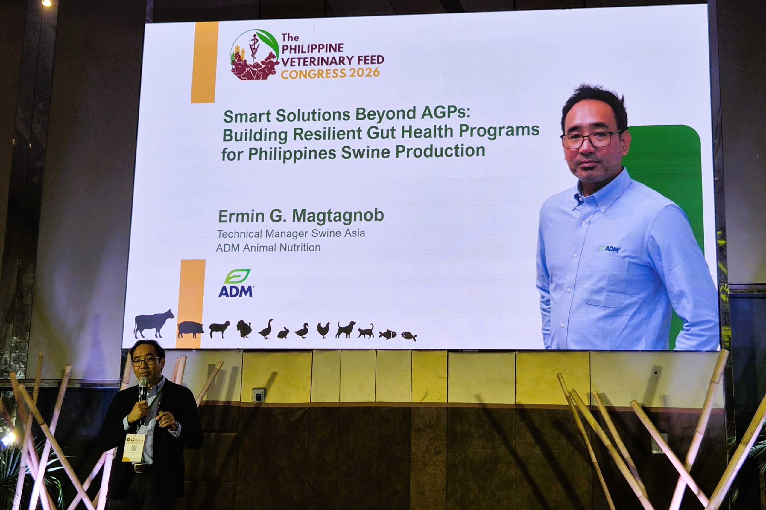 Beyond AGPs: Resilience in Southeast Asia’s swine production