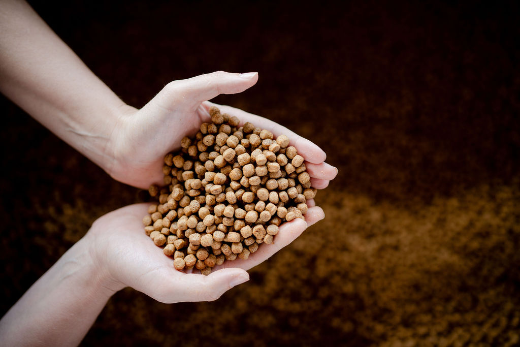 The feed strategy: Inside Southeast Asia’s aquaculture evolution