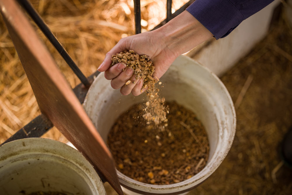 Cargill’s 2026 annual report: Grow forward