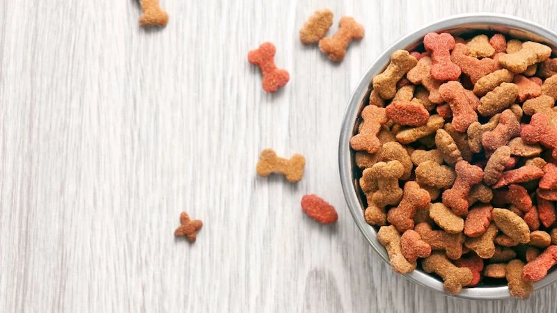 Progressus launches Pet Food Formulation & Production Masterclass