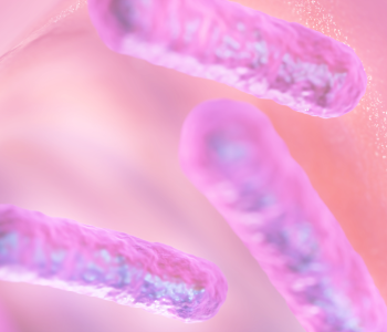A modulação precoce da microbiota é o pilar da saúde intestinal e do desempenho