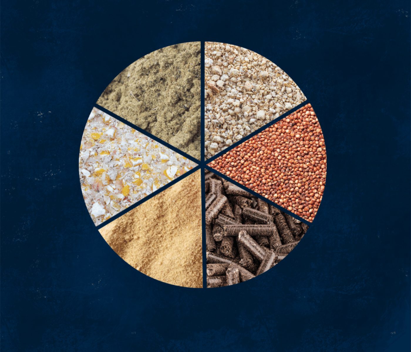 NOVUS reúne referencias globales sobre ingredientes para piensos