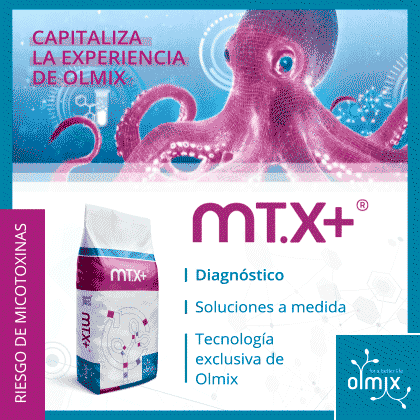 http://Olmix%202026