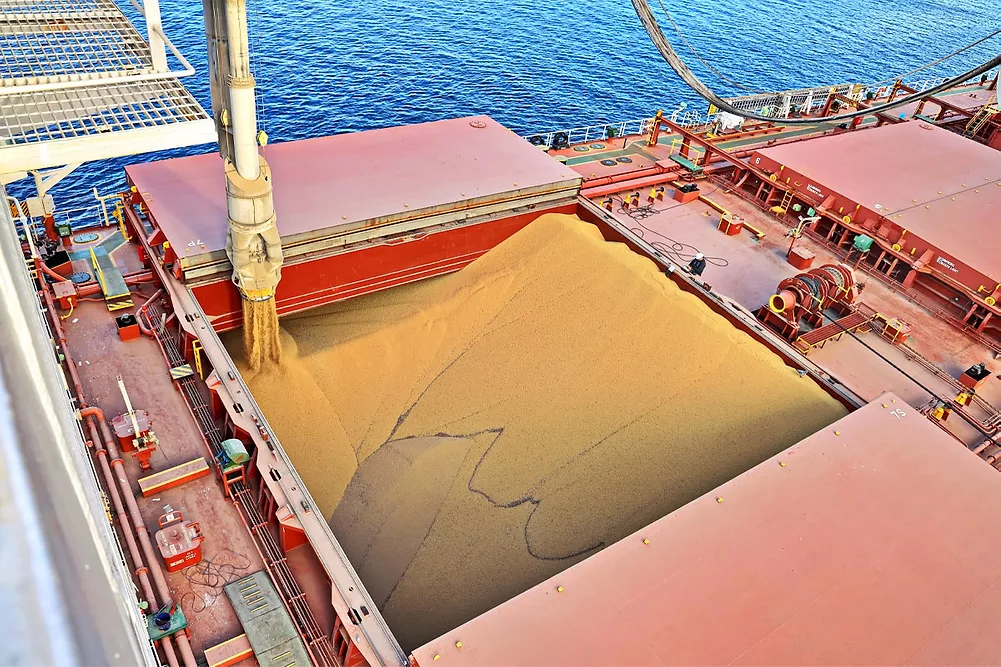 China books 13 more US soybean cargoes