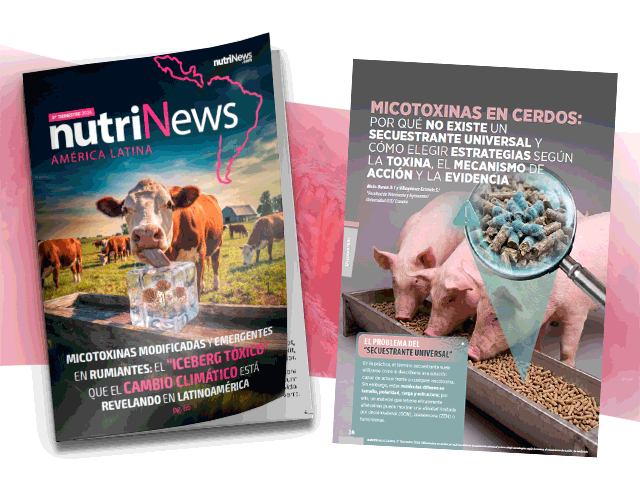 Sumario Aditivos nutricionales en rumiantes: optimizar la fermentación y el desempeño