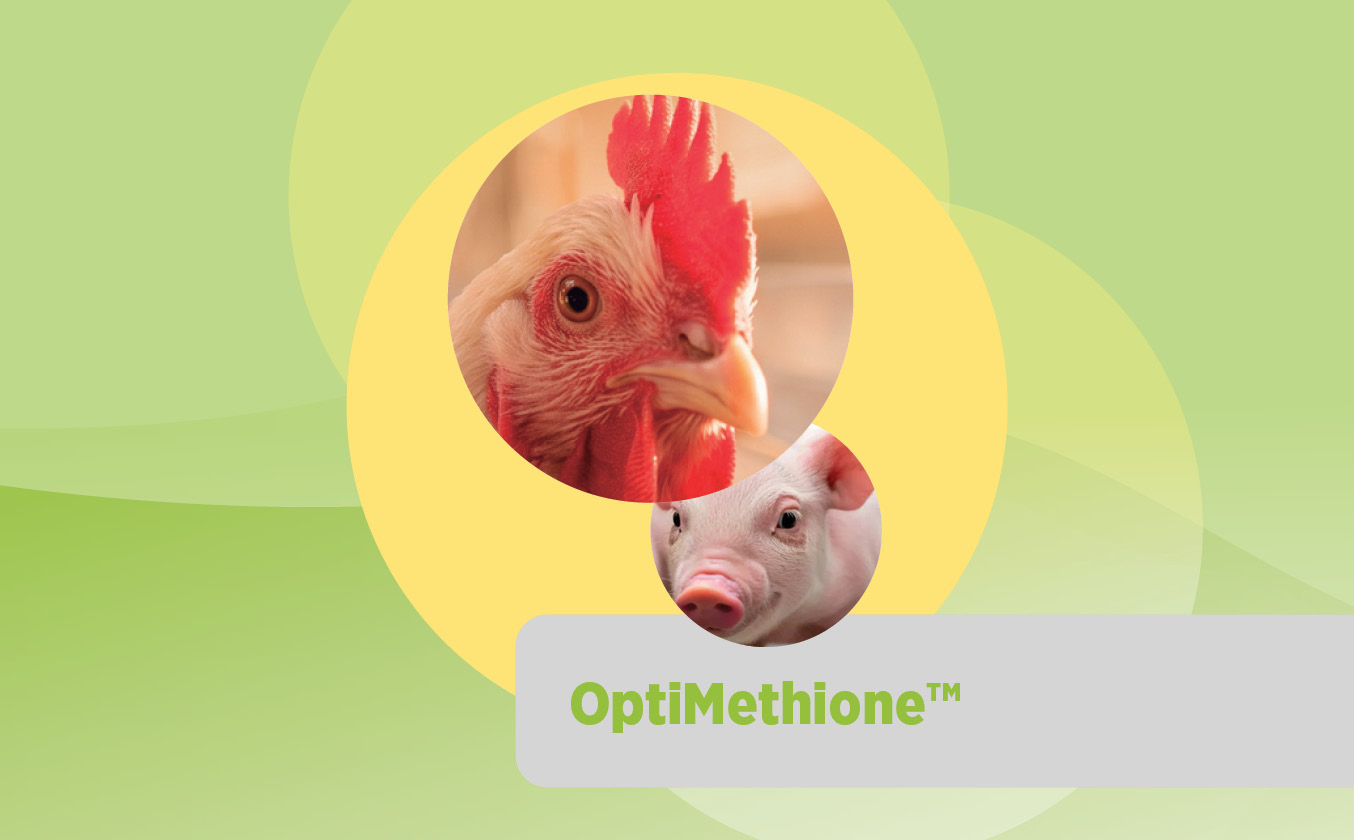 OptiMethione™