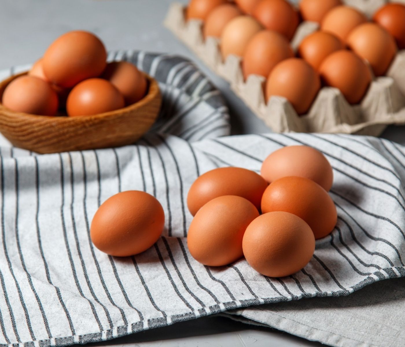 A tecnologia nutricional por trás dos recordes de produção de ovos no Brasil