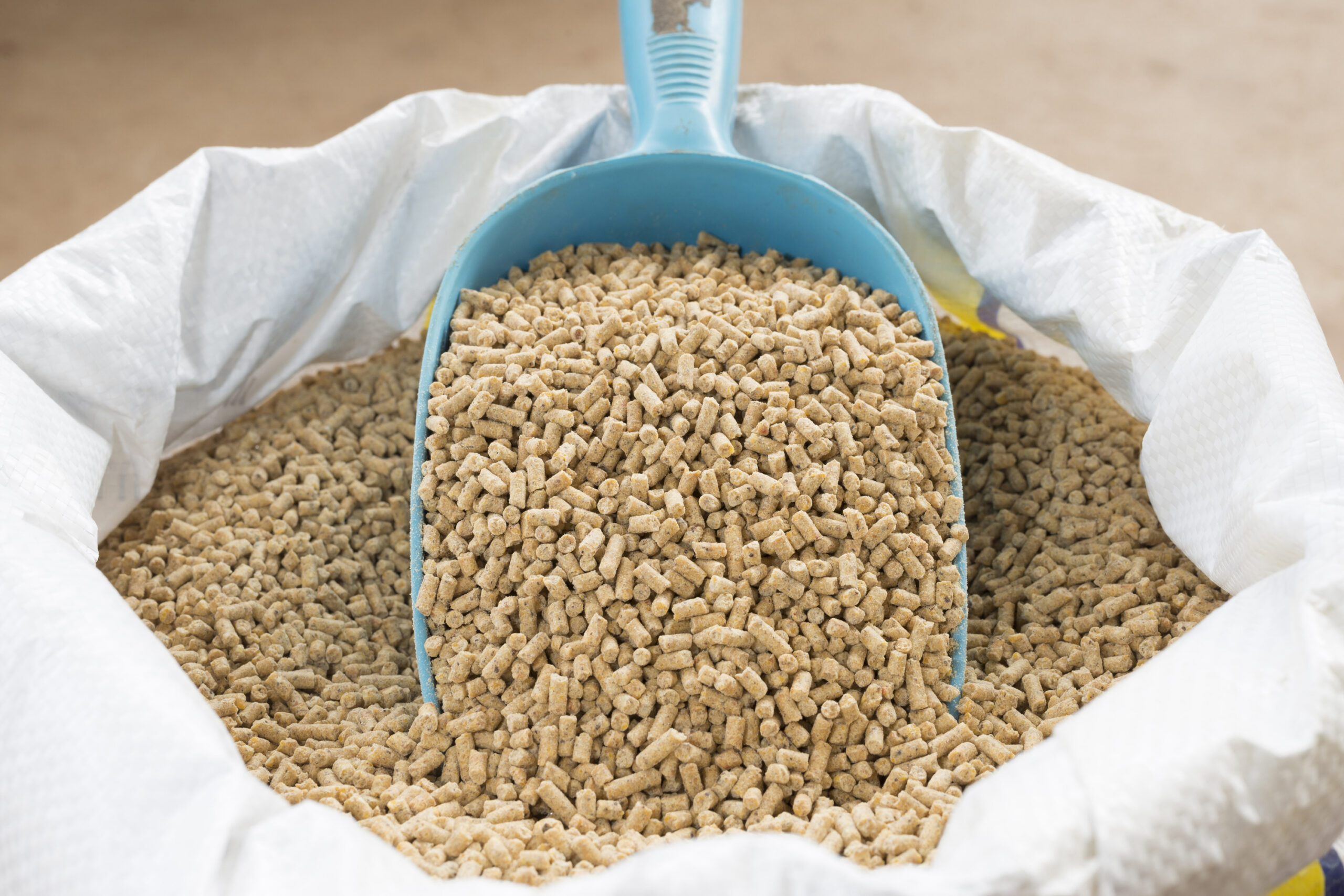 Feed additives: Advancing animal nutrition with next generation thinking