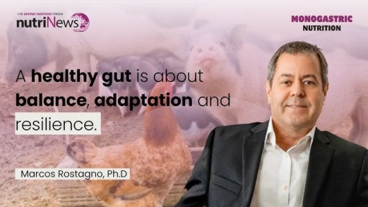 Strategies for gut health and sustainable antibiotic use – Dr Marcos Rostagno