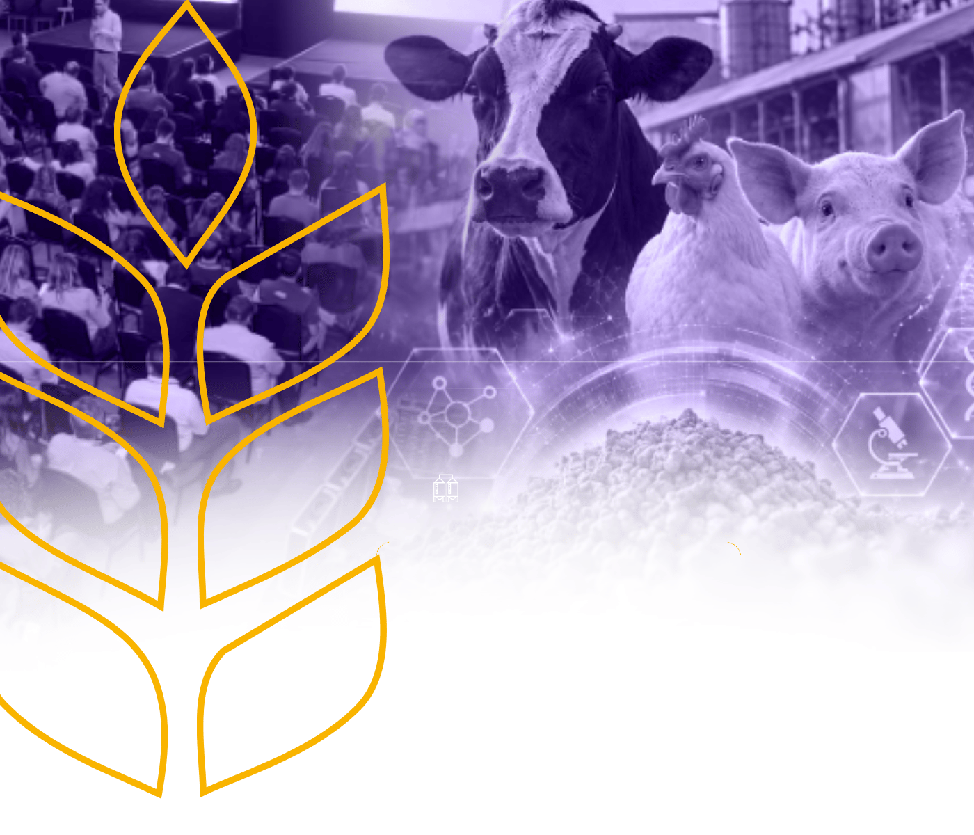 A próxima margem da nutrição animal está além da fórmula