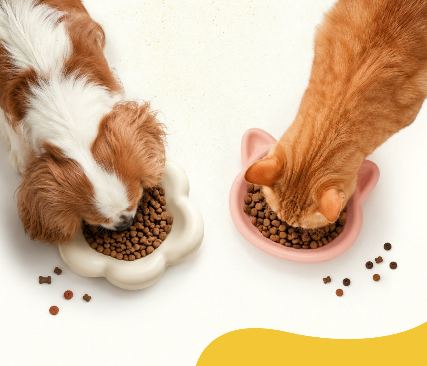 Digestibilidade e fermentação in vitro em pets: reduzir o uso de animais