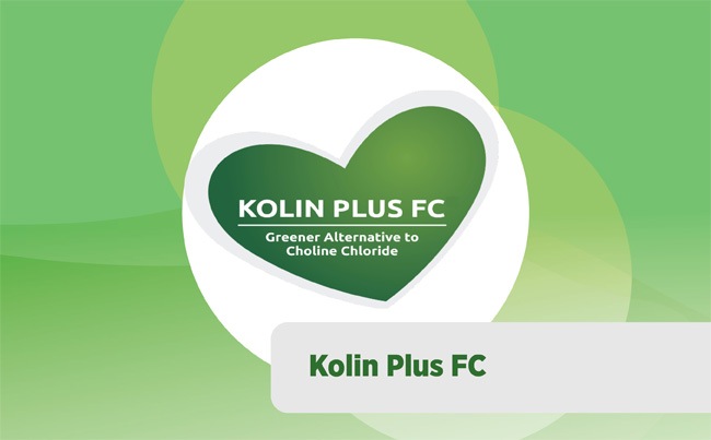 Kolin Plus FC