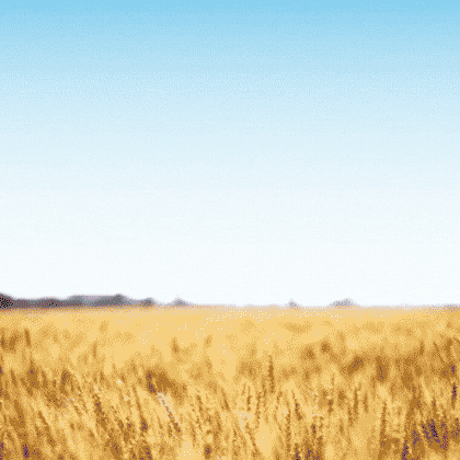 http://nutriFORUM%20España
