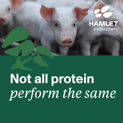 http://Hamlet%20Protein-Square%20Banner%20English