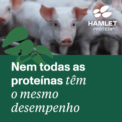 http://Hamlet%20Protein-Square%20Banner%20Portuguese