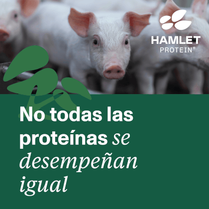 http://Hamlet%20Protein-Square%20Banner%20Spanish