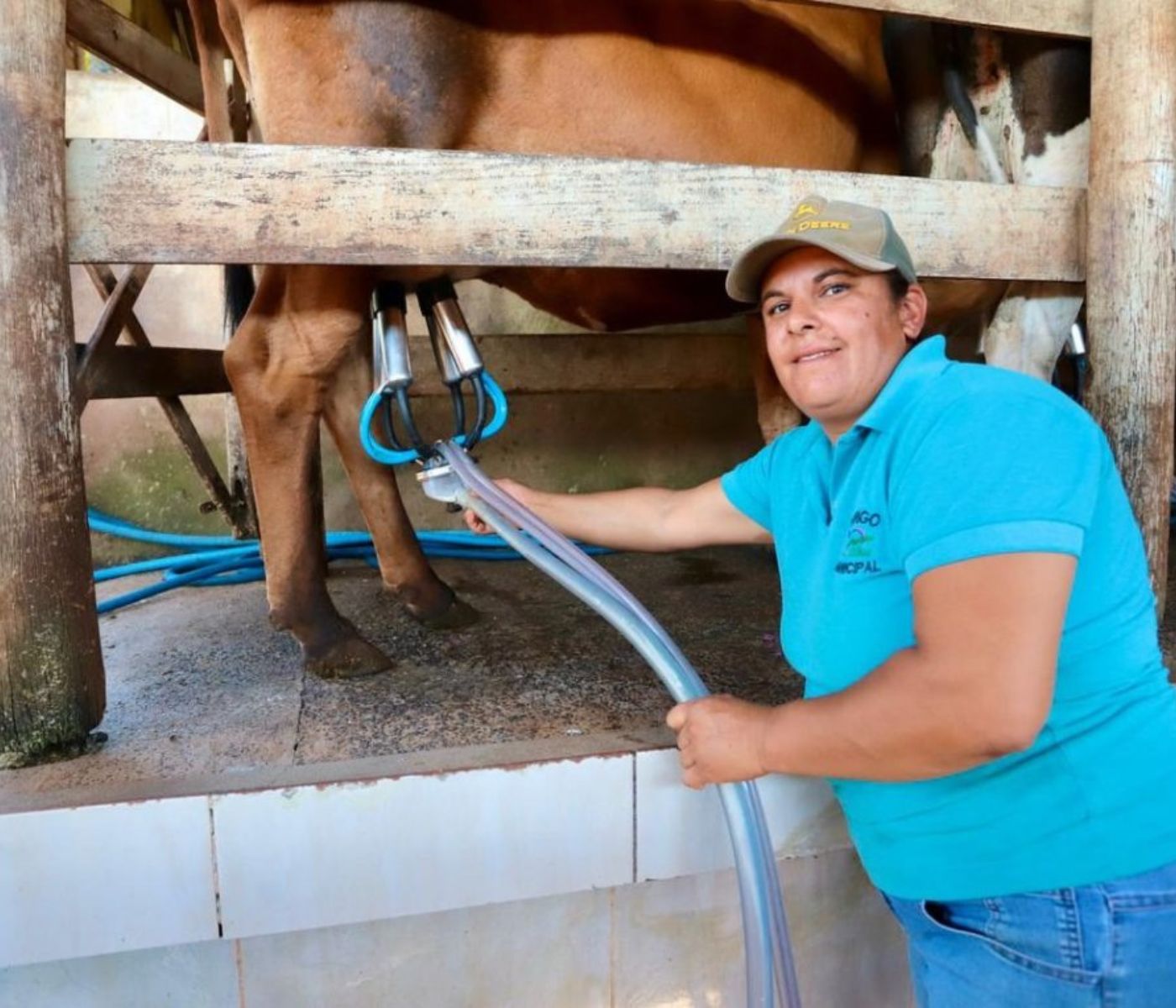 Crédito rural para mulheres destina R$ 6,6 milhões a produtoras de leite em SP