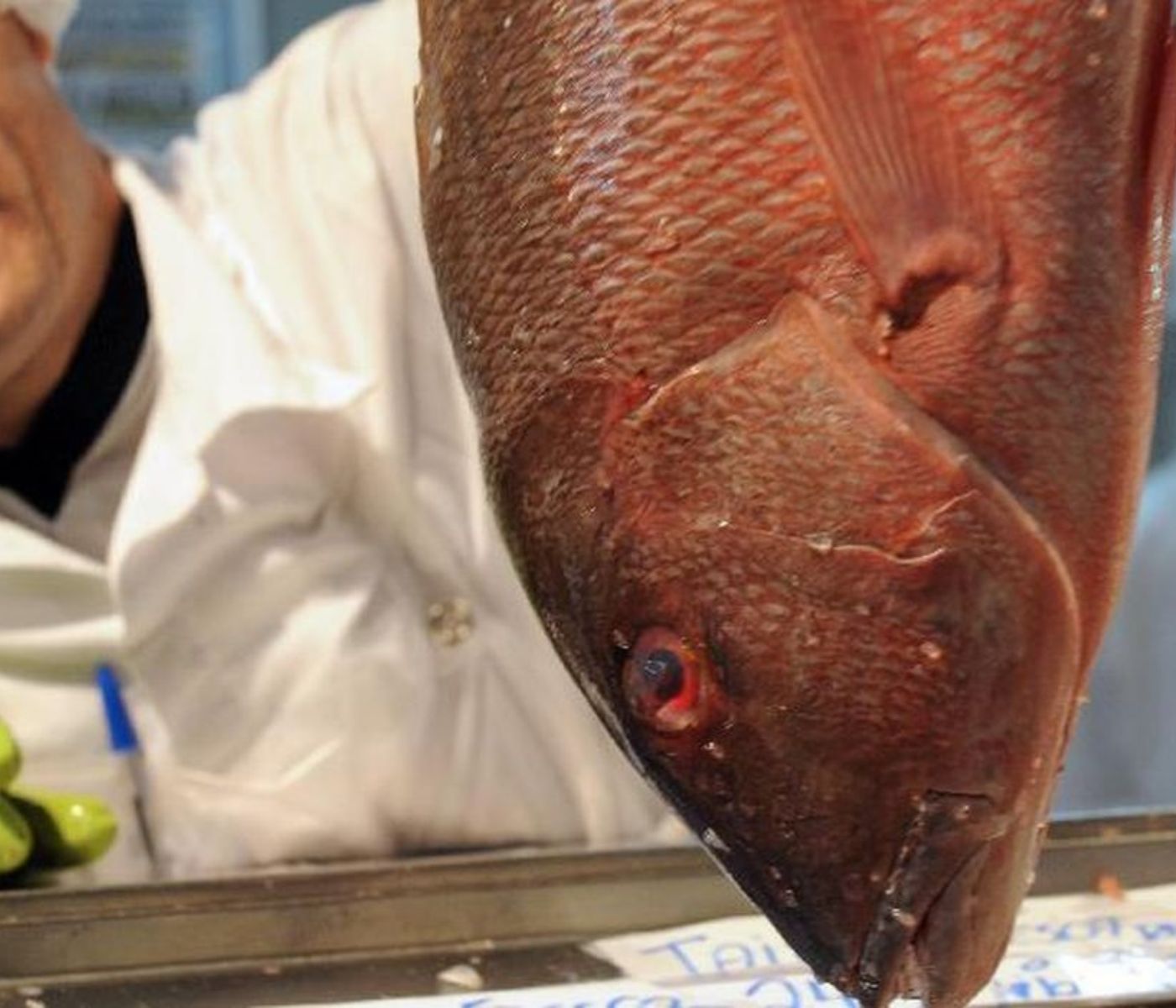 Pescado brasileiro mira novos mercados internacionais em São Paulo 