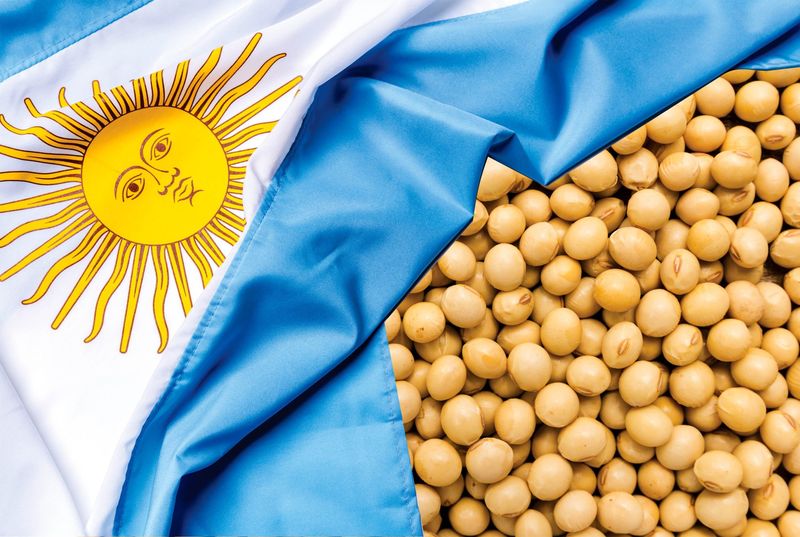 Vietnam overtakes Malaysia, Indonesia in soybean meal imports from Argentina