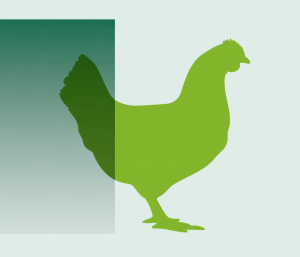 50% menos de zinc con complejo zinc(II)-betaína en pollos: estrés oxidativo