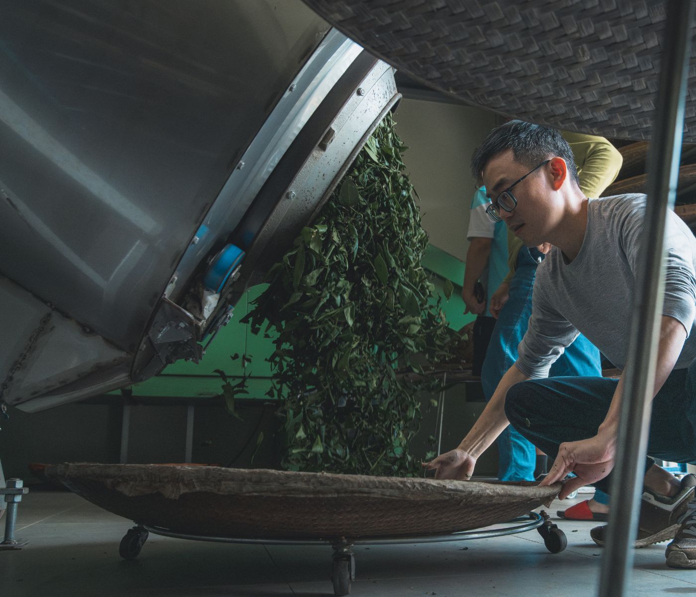 Fabricación de alimentos balanceados: etapas críticas