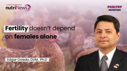 Understanding broiler breeder fertility decline – Dr Edgar Oviedo