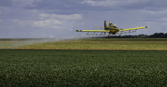Glyphosate impact on poultry health explained | Dr Edgar Oviedo
