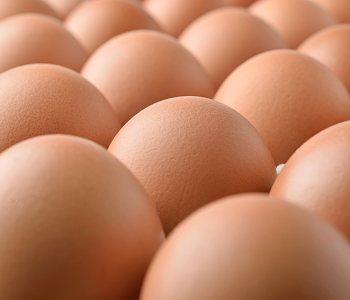 huevos