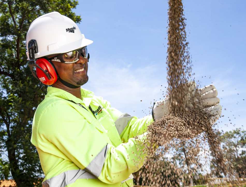 Solução combina fertilização mineral e microrganismos em eficiência da adubação